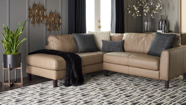 Black, gray, and white patterned rug with tan leather couch, gray paneled walls and plant in wooden plant stand